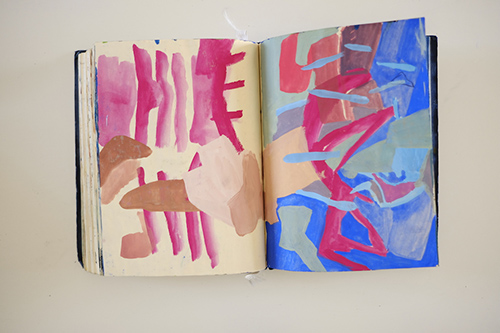 cuadernos | carnet-2017 | &copy; patrice de Santa Coloma
