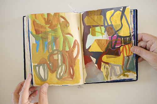 cuadernos | carnet-2017 | &copy; patrice de Santa Coloma