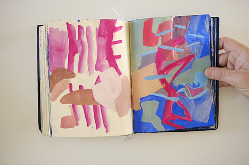 cuadernos | carnet-2017 | &copy; patrice de Santa Coloma