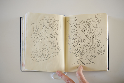 cuadernos | carnet-2017 | &copy; patrice de Santa Coloma