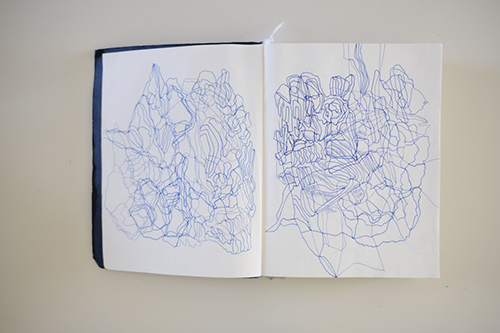 cuadernos | carnet-2017 | &copy; patrice de Santa Coloma