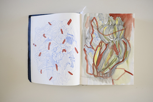 cuadernos | carnet-2017 | &copy; patrice de Santa Coloma