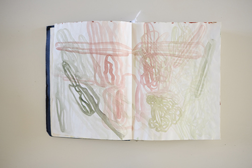 cuadernos | carnet-2017 | &copy; patrice de Santa Coloma