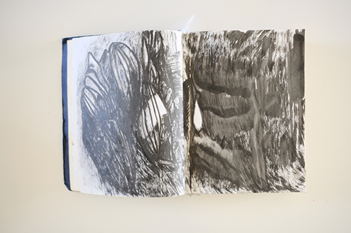 cuadernos | carnet-2017 | &copy; patrice de Santa Coloma