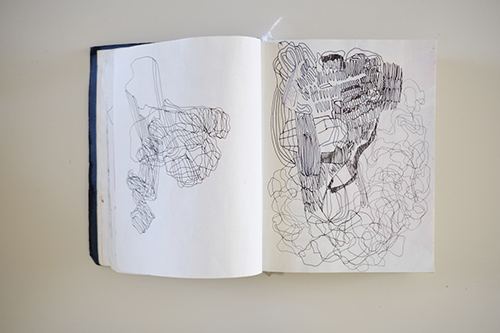 cuadernos | carnet-2017 | &copy; patrice de Santa Coloma