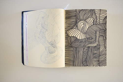 cuadernos | carnet-2017 | &copy; patrice de Santa Coloma