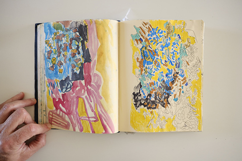 cuadernos | carnet-2017 | &copy; patrice de Santa Coloma