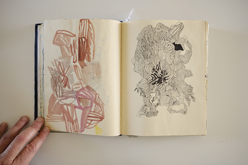 cuadernos | carnet-2017 | &copy; patrice de Santa Coloma
