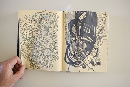 cuadernos | carnet-2017 | &copy; patrice de Santa Coloma