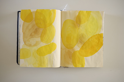 cuadernos | carnet-2017 | &copy; patrice de Santa Coloma