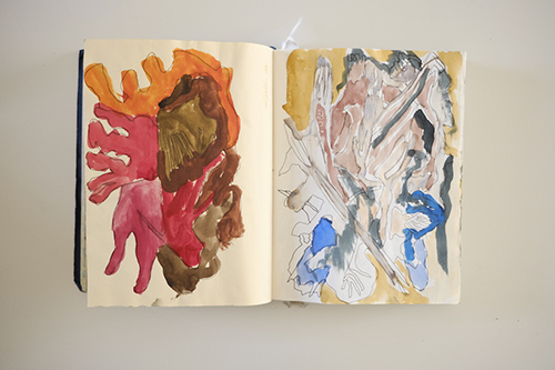 cuadernos | carnet-2017 | &copy; patrice de Santa Coloma