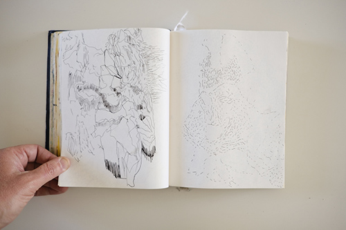 cuadernos | carnet-2017 | &copy; patrice de Santa Coloma