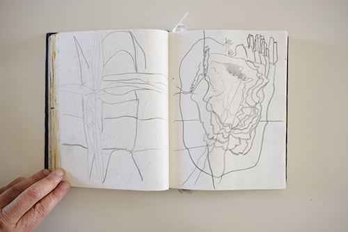 cuadernos | carnet-2017 | &copy; patrice de Santa Coloma