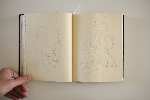 cuadernos | carnet-2017 | &copy; patrice de Santa Coloma