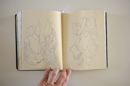 cuadernos | carnet-2017 | &copy; patrice de Santa Coloma