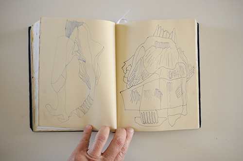 cuadernos | carnet-2017 | &copy; patrice de Santa Coloma
