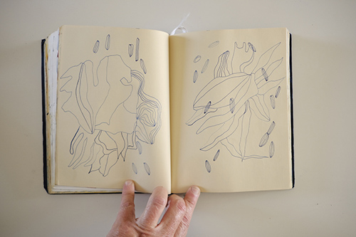cuadernos | carnet-2017 | &copy; patrice de Santa Coloma