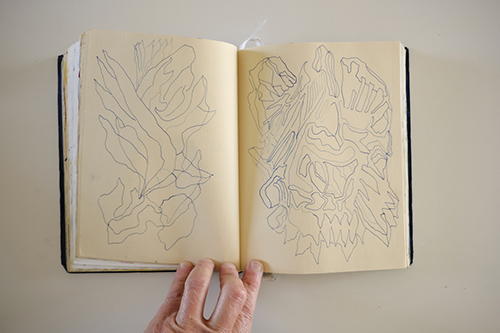 cuadernos | carnet-2017 | &copy; patrice de Santa Coloma