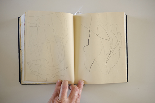 cuadernos | carnet-2017 | &copy; patrice de Santa Coloma