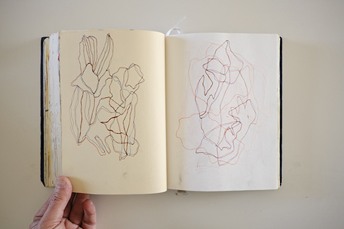 cuadernos | carnet-2017 | &copy; patrice de Santa Coloma