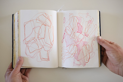 cuadernos | carnet-2017 | &copy; patrice de Santa Coloma