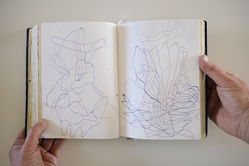 cuadernos | carnet-2017 | &copy; patrice de Santa Coloma