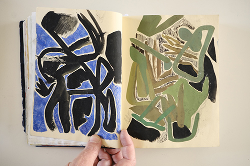 cuadernos | carnet-2018 | &copy; patrice de Santa Coloma