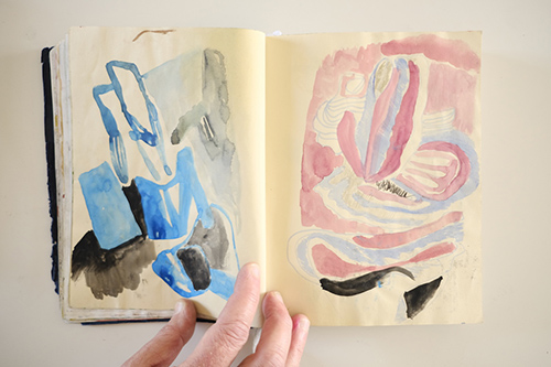 cuadernos | carnet-2018 | &copy; patrice de Santa Coloma