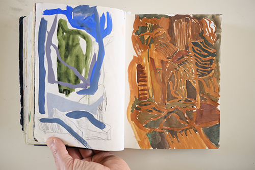 cuadernos | carnet-2018 | &copy; patrice de Santa Coloma