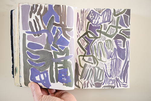 cuadernos | carnet-2018 | &copy; patrice de Santa Coloma