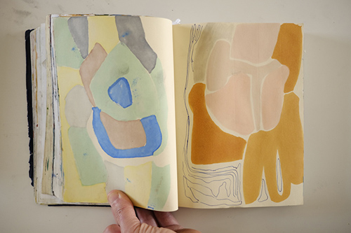 cuadernos | carnet-2018 | &copy; patrice de Santa Coloma