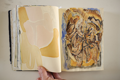 cuadernos | carnet-2018 | &copy; patrice de Santa Coloma