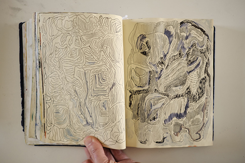 cuadernos | carnet-2018 | &copy; patrice de Santa Coloma