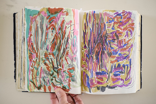 cuadernos | carnet-2018 | &copy; patrice de Santa Coloma