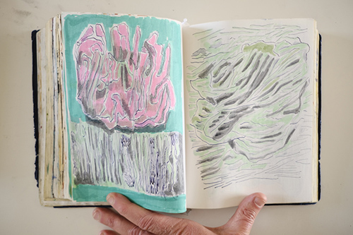 cuadernos | carnet-2018 | &copy; patrice de Santa Coloma