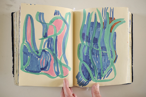 cuadernos | carnet-2018 | &copy; patrice de Santa Coloma