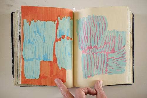 cuadernos | carnet-2018 | &copy; patrice de Santa Coloma