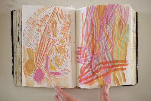 cuadernos | carnet-2018 | &copy; patrice de Santa Coloma