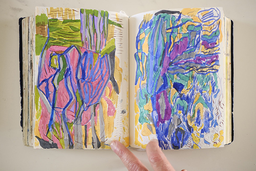 cuadernos | carnet-2018 | &copy; patrice de Santa Coloma