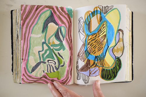 cuadernos | carnet-2018 | &copy; patrice de Santa Coloma