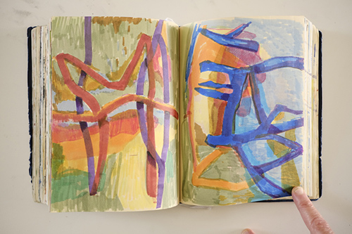 cuadernos | carnet-2018 | &copy; patrice de Santa Coloma