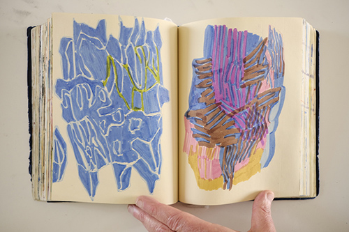 cuadernos | carnet-2018 | &copy; patrice de Santa Coloma