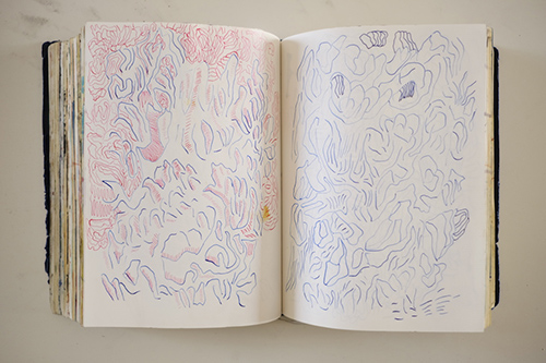 cuadernos | carnet-2018 | &copy; patrice de Santa Coloma
