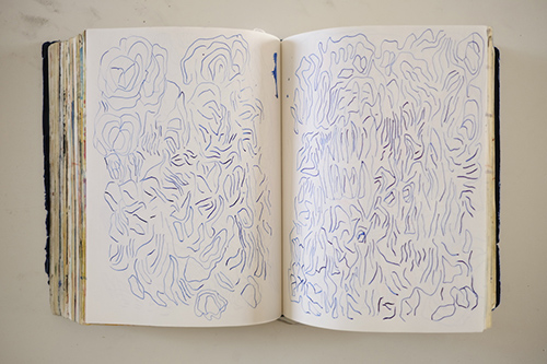 cuadernos | carnet-2018 | &copy; patrice de Santa Coloma