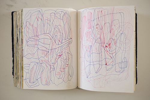 cuadernos | carnet-2018 | &copy; patrice de Santa Coloma