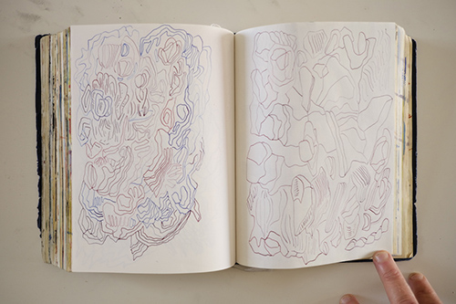 cuadernos | carnet-2018 | &copy; patrice de Santa Coloma