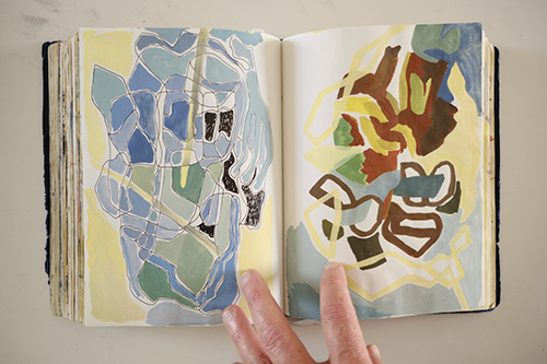 cuadernos | carnet-2018 | &copy; patrice de Santa Coloma