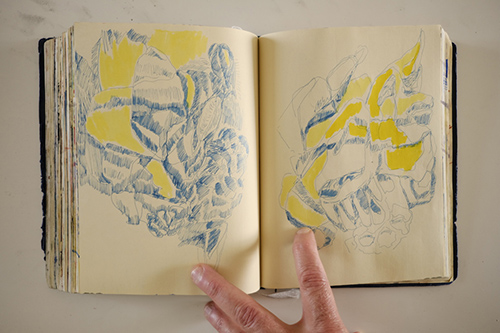 cuadernos | carnet-2018 | &copy; patrice de Santa Coloma