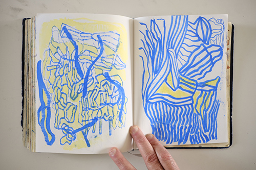 cuadernos | carnet-2018 | &copy; patrice de Santa Coloma
