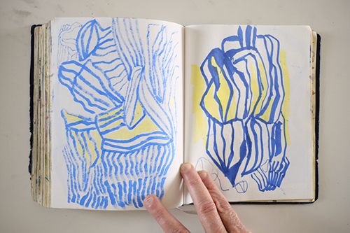 cuadernos | carnet-2018 | &copy; patrice de Santa Coloma